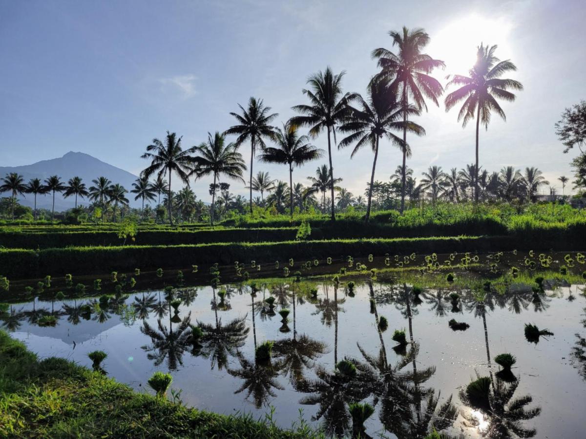 Готель Les Rizieres Lombok - Тетебату Екстер'єр фото