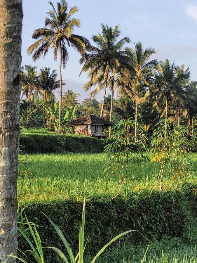 Готель Les Rizieres Lombok - Тетебату Екстер'єр фото
