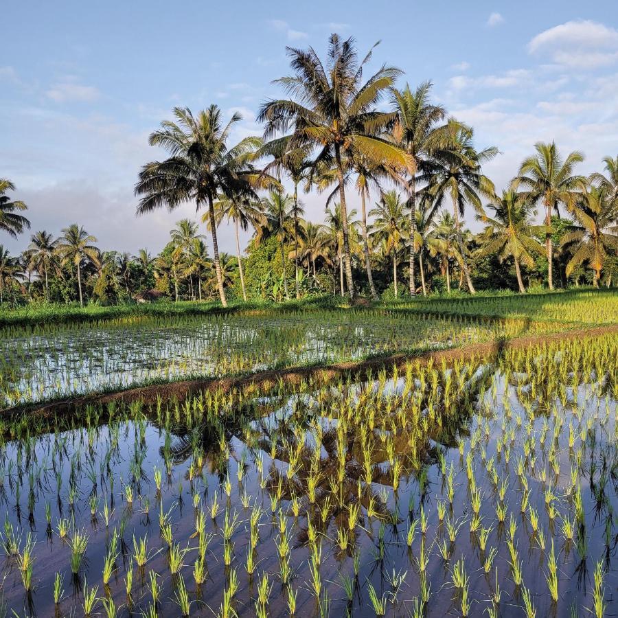 Готель Les Rizieres Lombok - Тетебату Екстер'єр фото