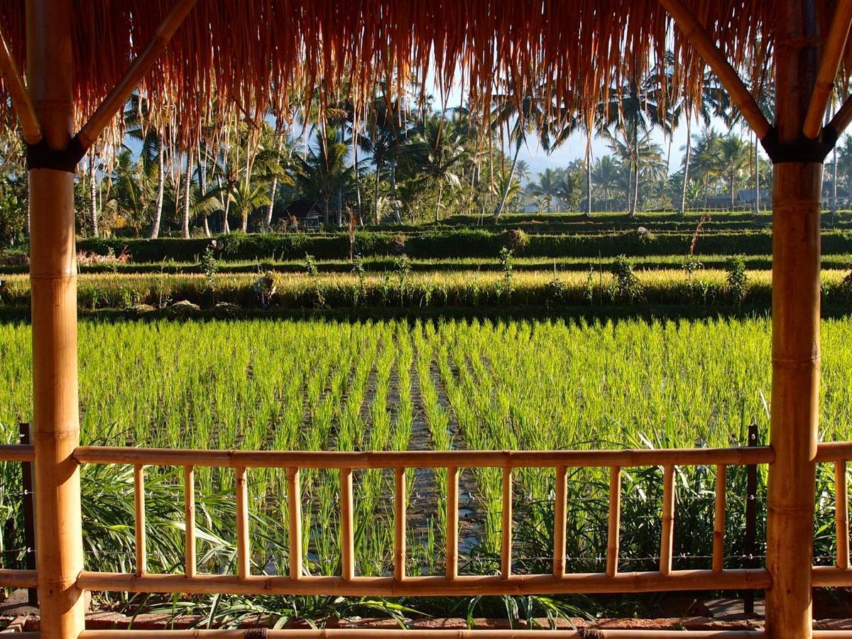 Готель Les Rizieres Lombok - Тетебату Екстер'єр фото